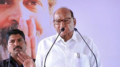 Sharad’s ‘Pawar play’ queers the pitch for the ruling alliance in high-stakes Lok Sabha seats of Madha, Baramati, Beed