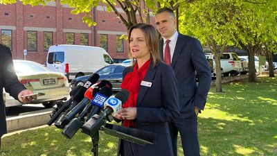 Labor elated, Greens pleased after SA by-election swing