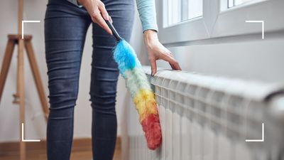 Heating experts warn of potentially harmful mistakes too many make when cleaning radiators