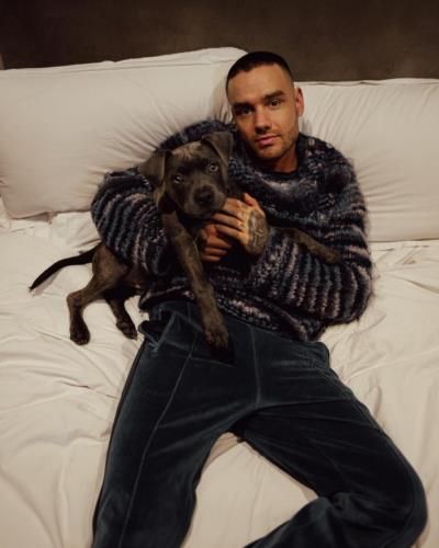 Liam Payne's Stylish Snuggle: A Heartwarming Moment With His Dog