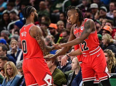 Coby White and Ayo Dosunmu have proven to be foundational for the Bulls