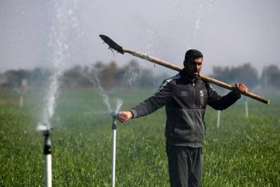 Sprinklers And Drip Irrigation Help Iraqis beat Drought