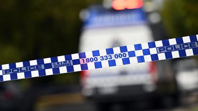Man charged over alleged domestic violence murder