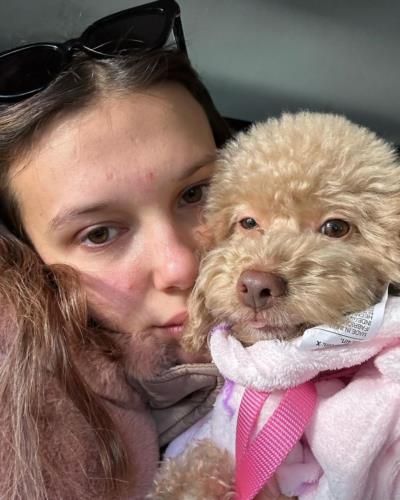 Millie Bobby Brown And Her Dog: A Heartwarming Photoshoot