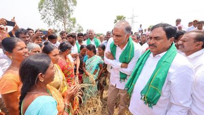 BRS demands ₹25,000 per acre relief to ryots who suffered crop loss this season