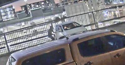 'Not his first rodeo': Watch carjacker rob woman at knifepoint