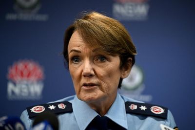 NSW police commissioner says appointment of media adviser under review after new information received