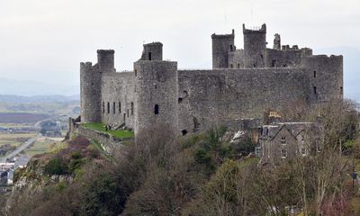 Country diary: Even castles can look reduced in the drama of this landscape