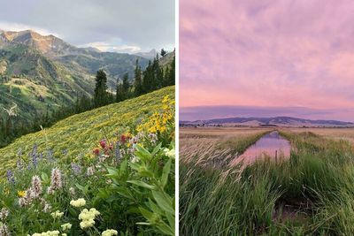 ‘Rate This Meadow’: 59 Beautiful Images To Transport You To A Tranquil Haven