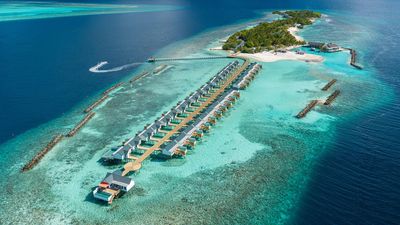 Explore healthy corals at Helengeli in the Maldives