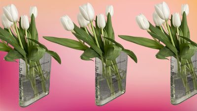 The Viral 'Book' Vase is Only $14 in the Amazon Spring Sale — ‘It Just Makes My Heart Happy!’