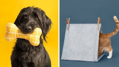The new IKEA pet collection is full of your furry friends' favorite things