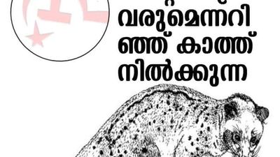 Election campaign in the age of reels