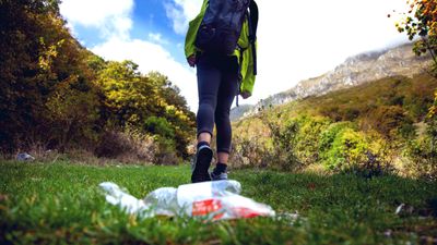 “In Oregon and Washington there was toilet paper everywhere" – survey reveals 2,650 miles of trash on the Pacific Crest Trail