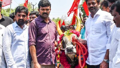 Jallikattu activist Rajesh marches with bulls to file his nomination papers