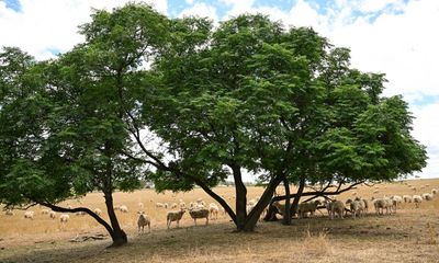 Australian farmland prices have doubled in the past decade. Is it time to put the ‘poor farmer’ narrative to bed?