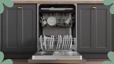 Expert reveals the ideal time you should be using your dishwasher to cut energy costs