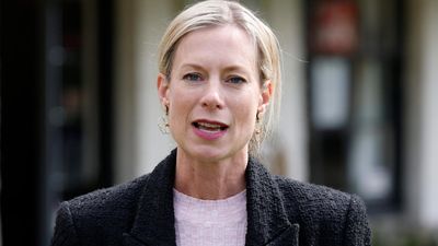 Tas Liberals in minority talks as Labor leader resigns