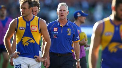 AFL unable to prevent Wright-style collisions: Simpson
