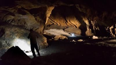 Homo Sapiens Migration Out Of Africa Revealed In New Study