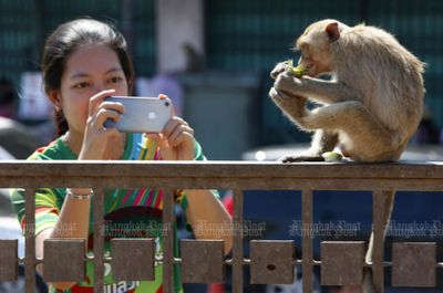Humans want monkeys out of Lop Buri