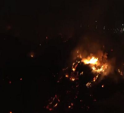 UP: Fire breaks out at horticulture dumping yard in Noida