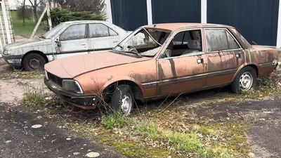 This Abandoned Peugeot Dealership Has Dozens of Cars Rotting Away