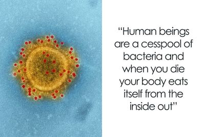 30 Cool But Pretty Disturbing Facts About The Human Body That Not Many People Know About