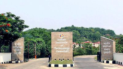 IIT-Guwahati transfers tech for first anti-swine fever vaccine