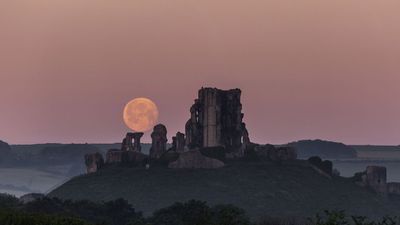 Full moon calendar 2025: When to see the next full moon