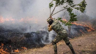 Fighting every wildfire makes bigger fires more extreme, study says