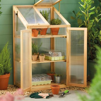 Aldi's sellout mini greenhouse is back in time for spring – at an all-new low price of just £49.99