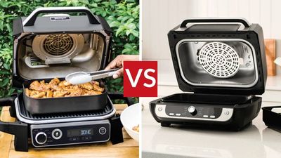 Ninja Woodfire Electric BBQ Grill and Smoker vs ProCook Air Fryer Health Grill: which should you choose?