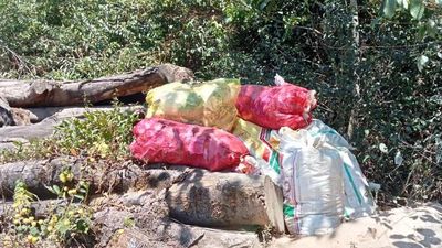 Waste dumping poses threat to wild elephants in Devikulam