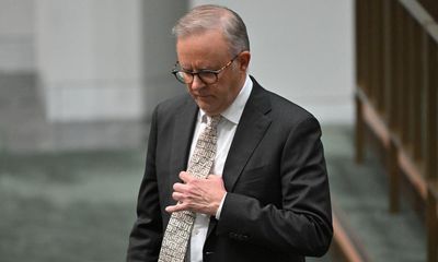 Labor’s deportation bill fails to pass Senate in ‘almighty backfire’ as Coalition and Greens team up
