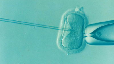 Broad language in Kentucky bill to protect doctors and health providers within IVF Services