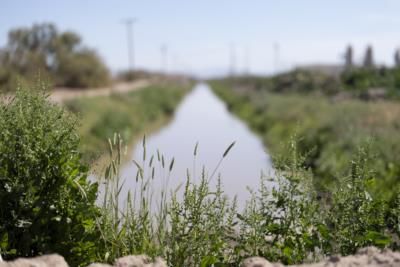 Imperial Irrigation District Delays Water Conservation Program For Fish
