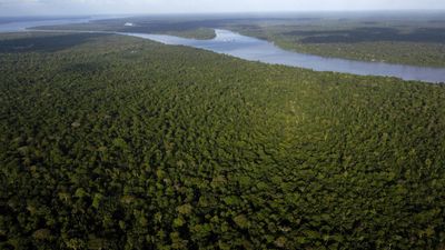France's Macron visits Brazil to launch €1bn Amazon protection plan