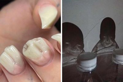 35 Unsettling Pics That Might Immediately Get A “Thanks, I Hate It” Response From You