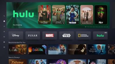 Integration of Hulu Into Disney Plus Described as 'Massive Lift' Involving More Than 100,000 Individual Creative Assets