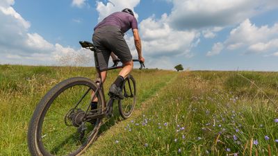 Is your bike the noisest in the bunch? 13 steps to a silent ride