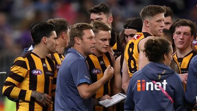 Coaches must be told of drug cases: Hawthorn's Mitchell