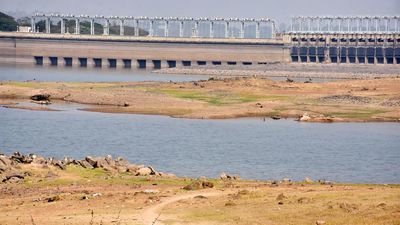 Water levels dangerously low in major dams in South India: Data