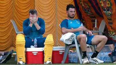 Cricket Australia drops David Warner, Marcus Stoinis from 2024-25 central contracts list