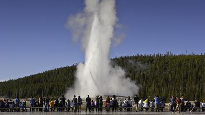 Yellowstone Rangers catch tourist peering into Old Faithful, where water temperature at the vent is 204°F