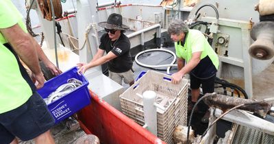 Fishing conditions 'terrific' as Easter seafood demand surges