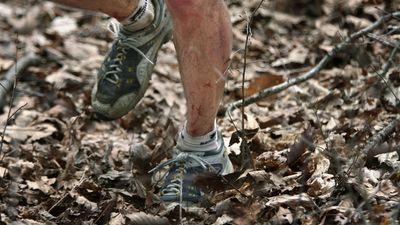 "The race is too hard for women" – 2015 video reveals Barkley Marathons founder never saw Jasmin Paris coming