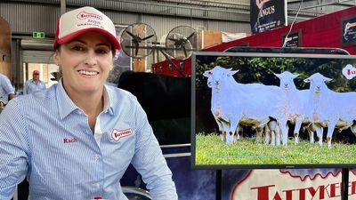 Women leading the herd in agriculture business