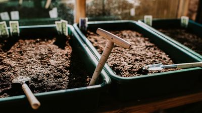 How to make compost — 8 easy steps gardening pros always use