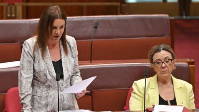 Lambie takes senator's shock resignation on the chin